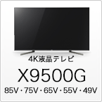 X9500G