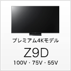 Z9D