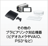 ̑̃urANΉ@irfIJVAIOAPS3iRjȂǁj