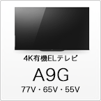 A9G