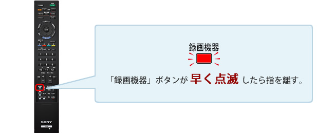 �u�^��@��v�{�^���������_�ł�����w�𗣂�