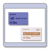 �������[�X�e�B�b�N �f���I/PRO �f���I