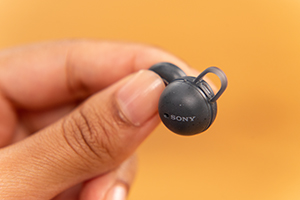 wbhzƃtBbeBOT|[^[̈ʒu荇킹đłĂʐ^