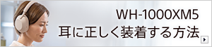 WH-1000XM5 ���ɐ���������������@