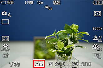 ڂɐݒ肵Ƃ̃vr[ʁBwiڂĎO̊ϗtAɃsgĂB