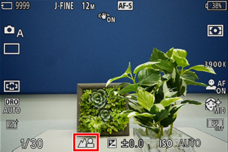 ɐݒ肵Ƃ̃vr[ʁBŜɃsgĂB