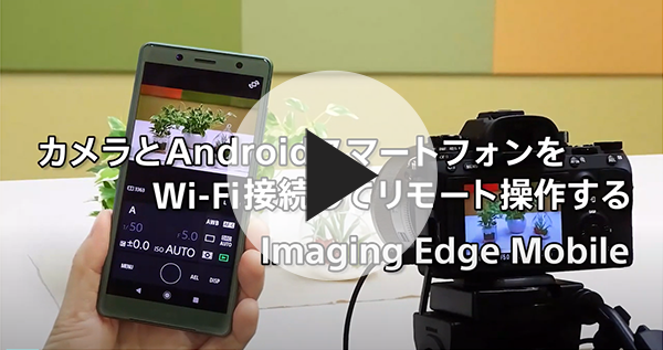 カメラとAndroidスマートフォンをWi-Fi接続してリモート操作する Imaging Edge Mobile