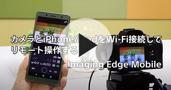 カメラとiPhone iPadをWi-Fi接続してリモート操作する Imaging Edge Mobile