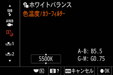 �F���x/�J���[�t�B���^�[�ŐF���x��ݒ肷��t����ʂ̈��