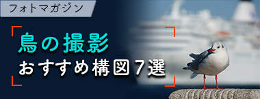 �t�H�g�}�K�W�� ���̎B�e �������ߍ\�}7�I