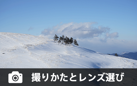 �B�肩���ƃ����Y�I��