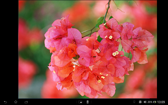 �A���o���A�v�����N������