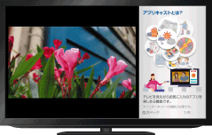 ���: �A�v���L���X�g�������̌�