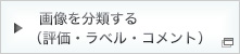 画像を分類する(評価・ラベル・コメント)