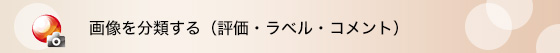 画像を分類する(評価・ラベル・コメント)