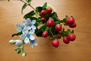 卓上の花を上からクリエイティブルックのSTモードで撮影した例