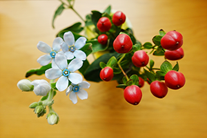 ̉ԂォNGCeBubNVV2[hŎBe