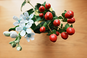 ̉ԂォNGCeBubNFL[hŎBe