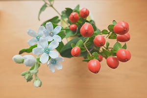 ̉ԂォNGCeBubNSH[hŎBe