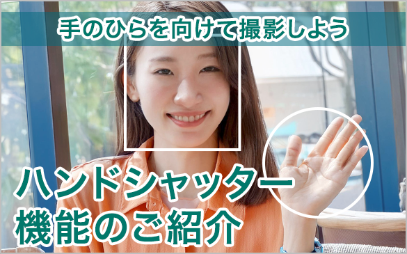 ̂ЂĎBe悤 nhVb^[@\Љ