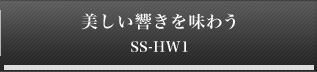 𖡂키 SS-HW1