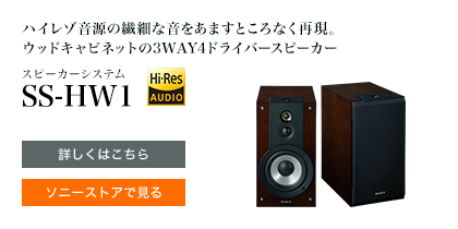 nC]̑@ׂȉ܂ƂȂČBEbhLrlbg3WAY4hCo[Xs[J[ Xs[J[VXe SS-HW1