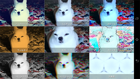 AR�G�t�F�N�g