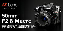 `ʗ͂ŋߐڎBeɋ 50mm F2.8 Macro