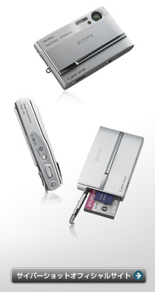 �T�C�o�[�V���b�g�I�t�B�V�����T�C�g