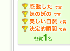 ���������ŏ܁@�ق̂ڂ̂ŏ܁@���������R�ŏ܁@����I�u�Ԃŏ܁@�e��1��