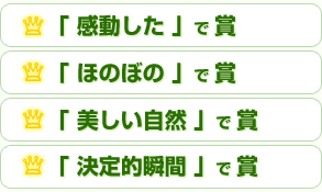 �u���������v�ŏ܁A�u�ق̂ڂ́v�ŏ܁A�u���������R�v�ŏ܁A�u����I�u�ԁv�ŏ�