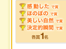 ���������ŏ܁A�ق̂ڂ̂ŏ܁A���������R�ŏ܁A����I�u�Ԃŏ�