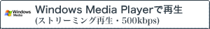 Windows Media Player