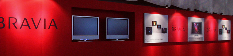 ���ʐ^-BRAVIA