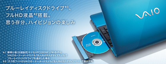 �u���[���C�f�B�X�N�h���C�u�A�t��HD�t�����ځB�v�������A�n�C�r�W�����̊y����