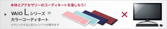 VAIO L�V���[�Y �J���[�R�[�f�B�l�C�g