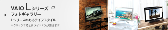 VAIO L�V���[�Y�M�������[