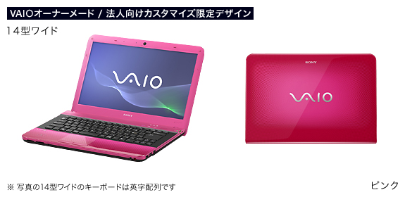 SONY VAIOネットブック VPCW219AJ/W　箱説明書アダプタ等セットSONY