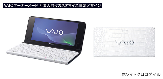 VAIO P  VPCP11AKJ