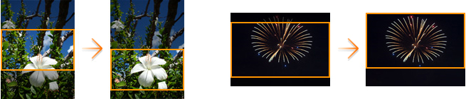 被写体を画面からはずさない「サブジェクトフレーミング」