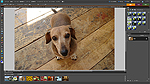 「Adobe Photoshop Elements 8」 画面写真