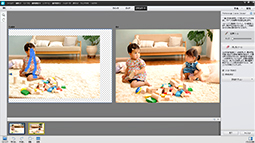 Adobe Photoshop Elements 12