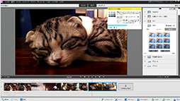 Adobe Premiere Elements 12