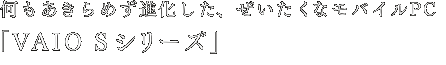 ߂iAȃoCPCuVAIO SV[Yv