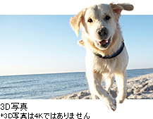 3Dʐ^ *3Dʐ^4Kł͂܂