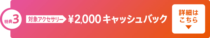 ���T3 �L���b�V���o�b�N�ڍ�