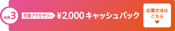 ���T3 �L���b�V���o�b�N������@