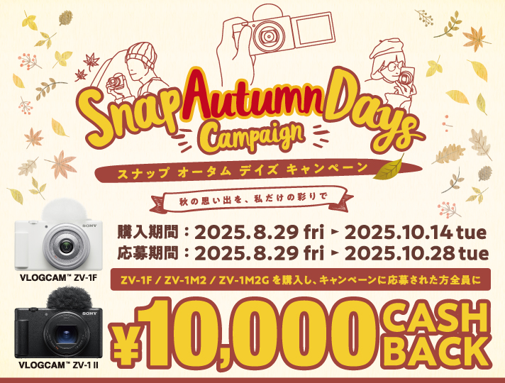 Xibv I[^ fCY Ly[ ԁF2025N829ij`2025N1014i΁jy؁z 2025N1028i΁jߑO100000b