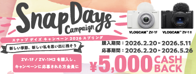 �X�i�b�v �f�C�Y �L�����y�[��2026�X�v�����O