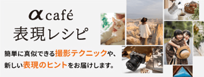  café \Vs ȒPɐ^łBeeNjbNAV\̃qg͂܂B